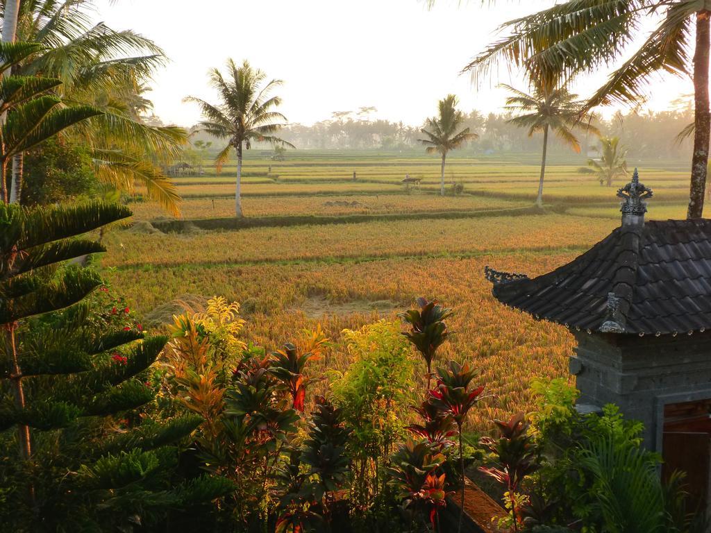 Villa Agung Khalia Ubud  Exterior photo